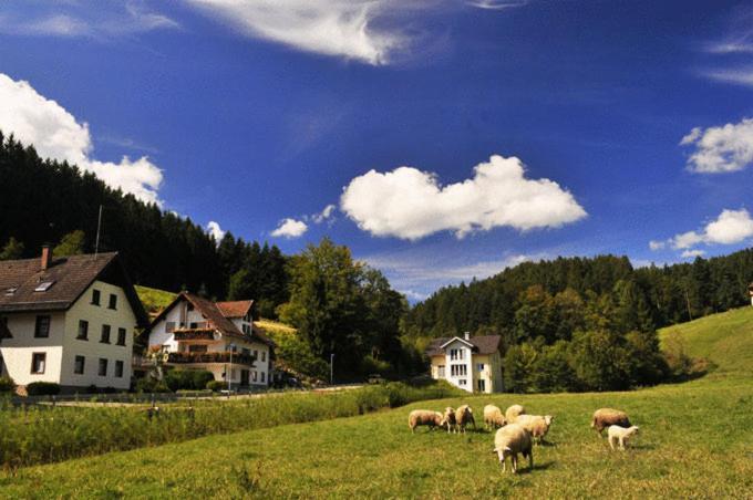 Hotel Hirschen-Dorfmuehle Biederbach Baden-Württemberg Esterno foto